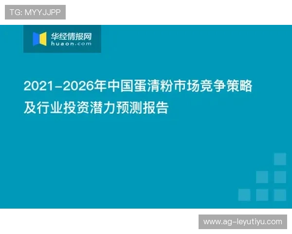 乐鱼官网手机网页版安全保障措施确保玩家个人信息和资金安全稳定